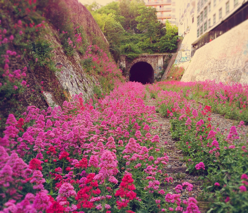 pinktunnel
